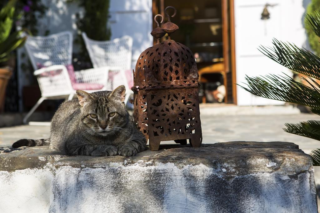La Almunia Del Valle Monachil Dış mekan fotoğraf